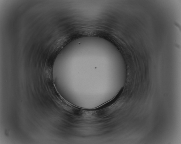 X0000093240096200710171450