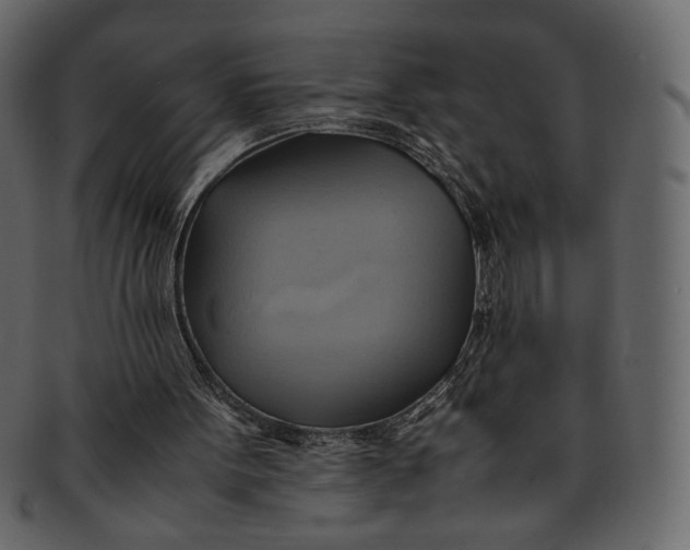 X0000093240099200710171449