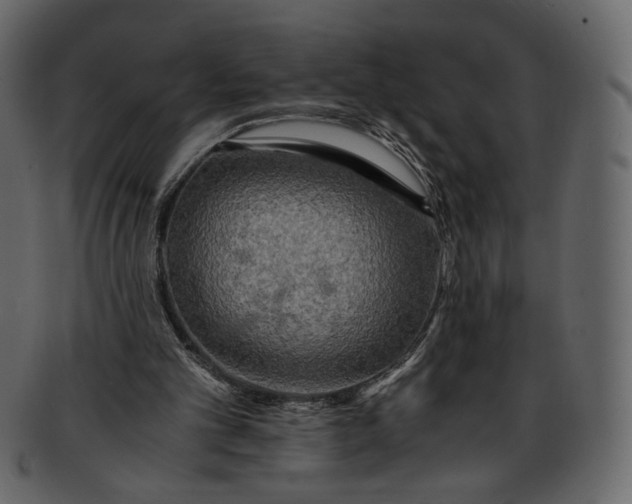 X0000093240101200710171449