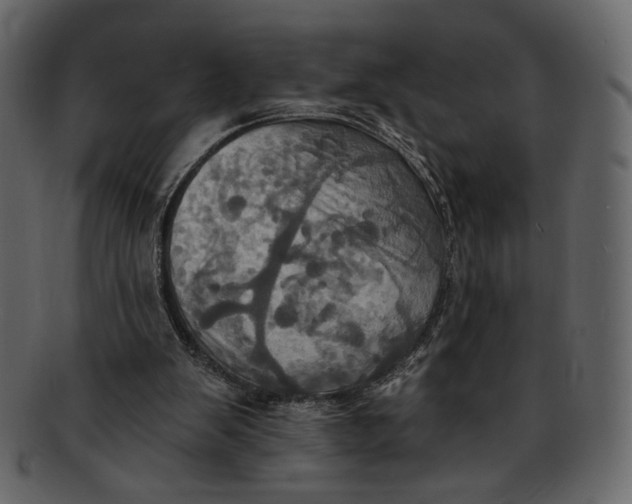 X0000093240103200710171449