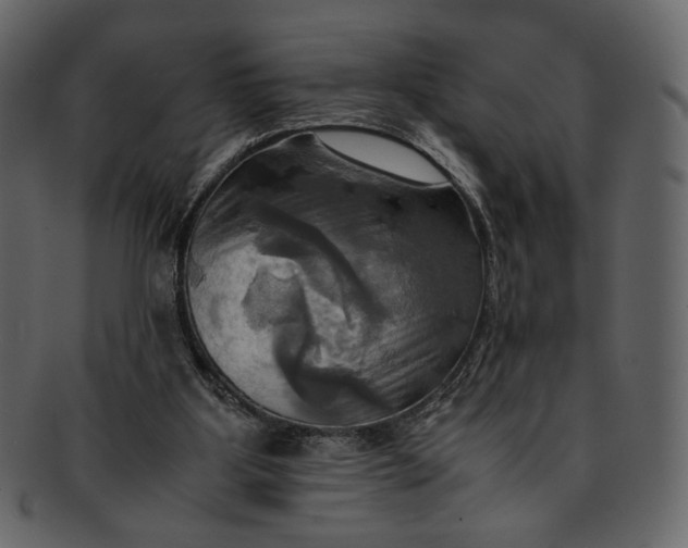 X0000093240107200710171449