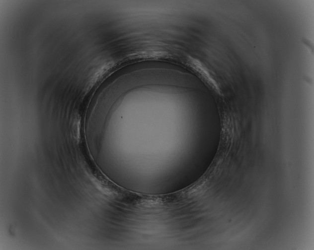 X0000093240110200710171449