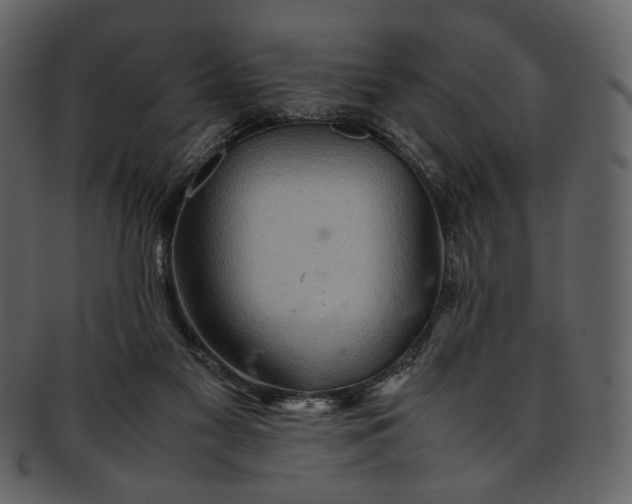 X0000093240117200710171449