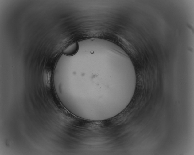 X0000093240118200710171449