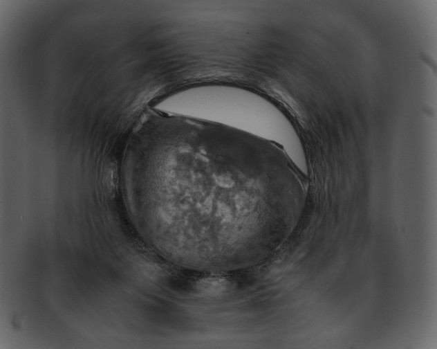 X0000093240119200710171449