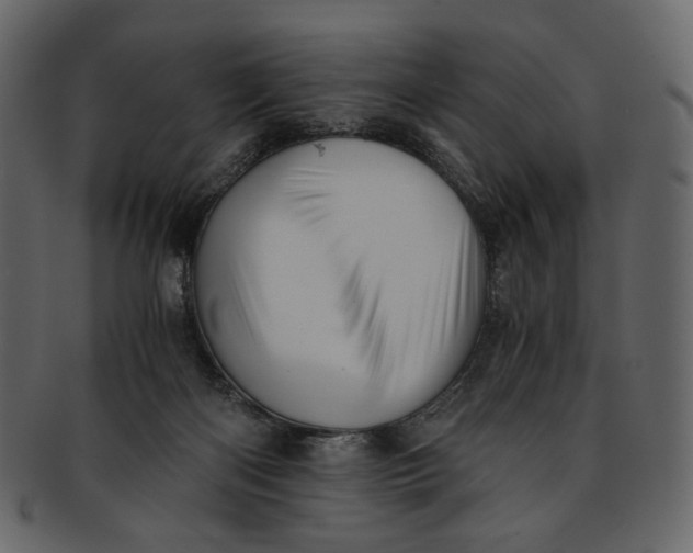 X0000093240122200710171449