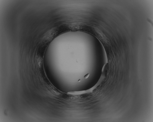 X0000093240125200710171449