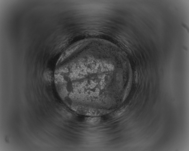 X0000093240135200710171449