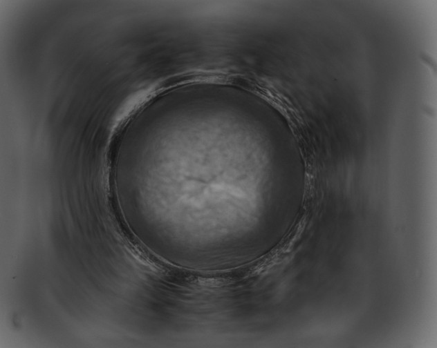 X0000093240149200710171448