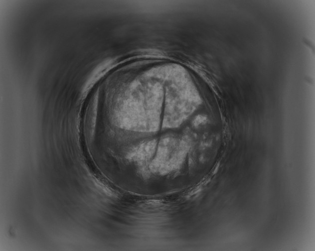 X0000093240151200710171448