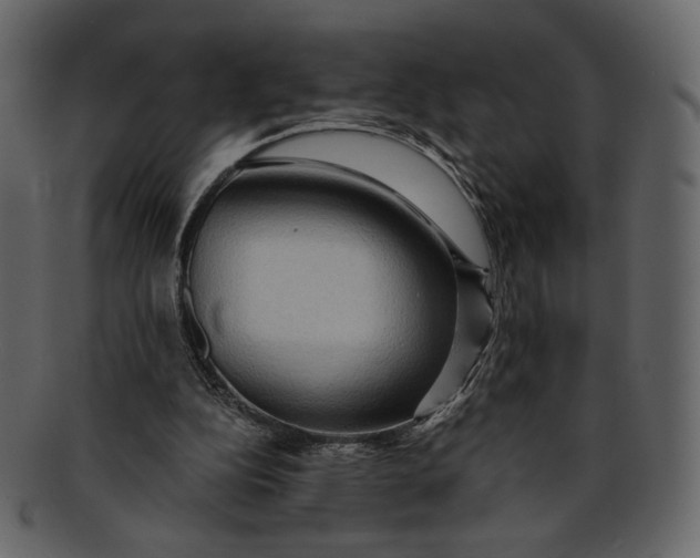 X0000093240152200710171448