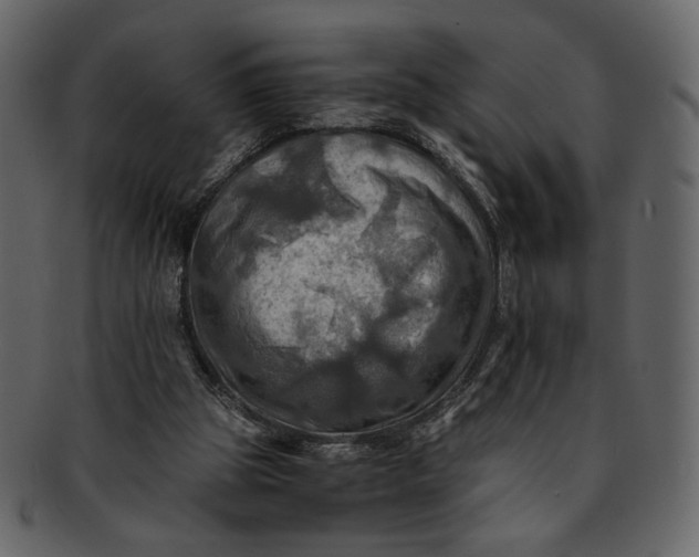 X0000093240153200710171448