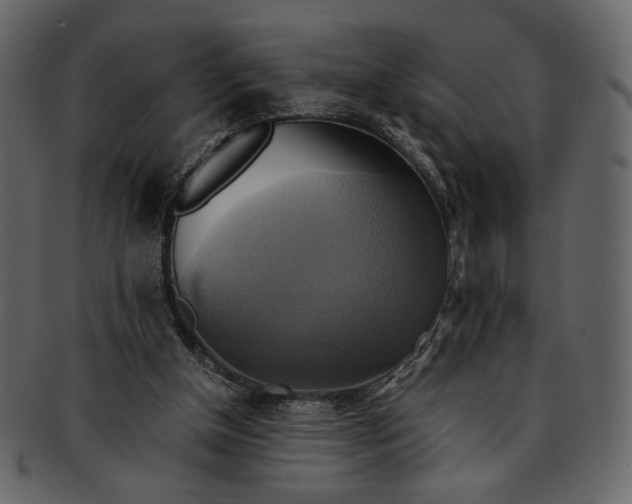 X0000093240154200710171448