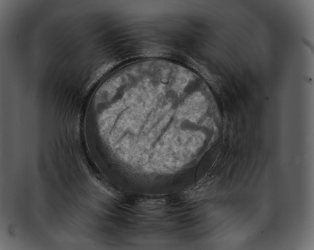 X0000093240155200710171448