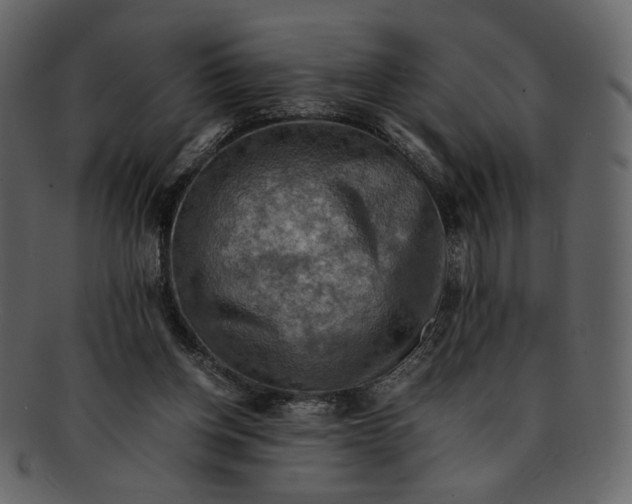 X0000093240158200710171448