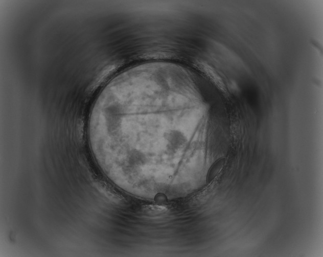 X0000093240159200710171448