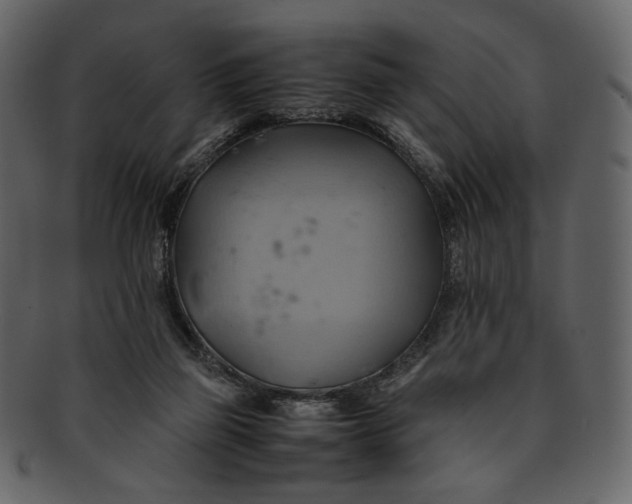 X0000093240165200710171448