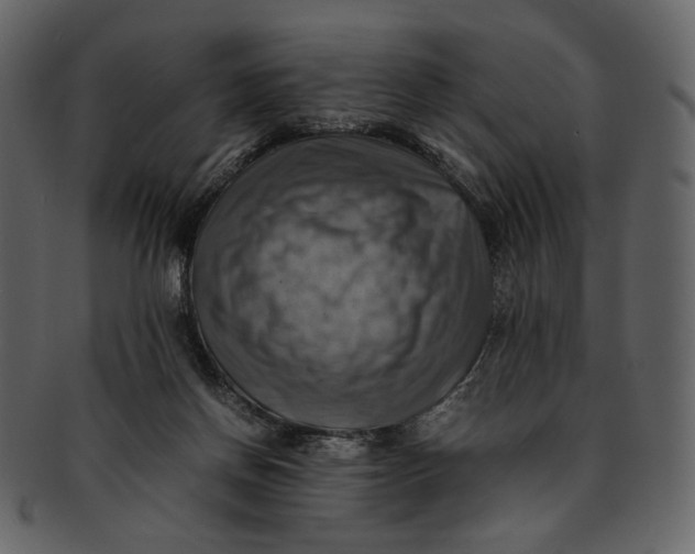 X0000093240166200710171448