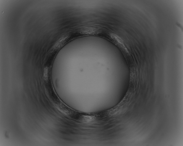 X0000093240167200710171448