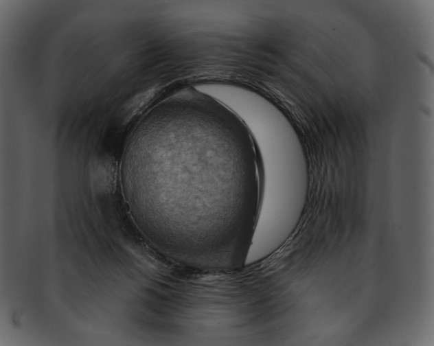 X0000093240168200710171448