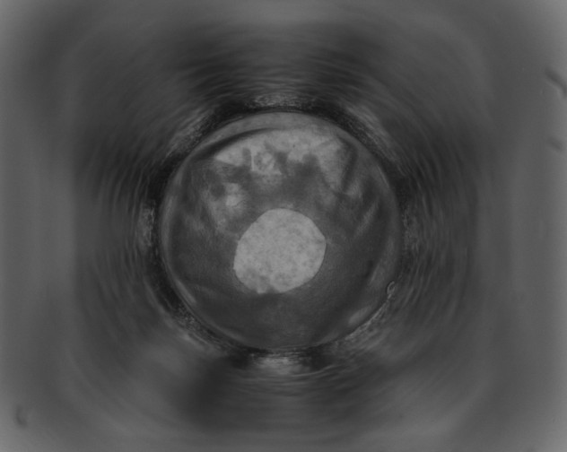 X0000093240171200710171448