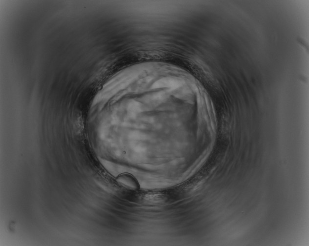 X0000093240173200710171448