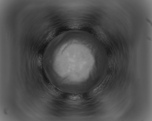 X0000093240175200710171448