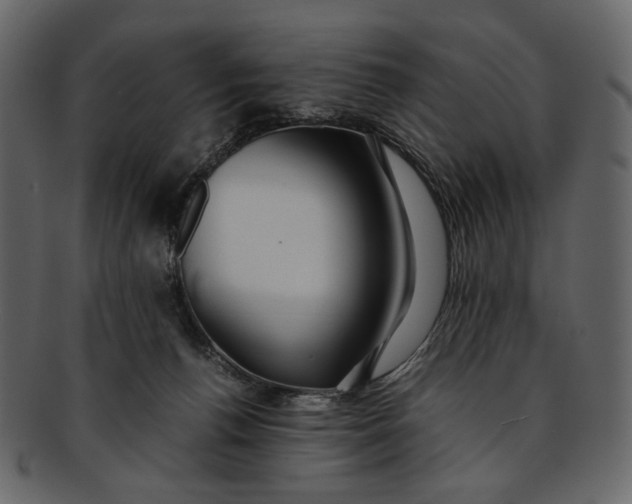 X0000093240176200710171448