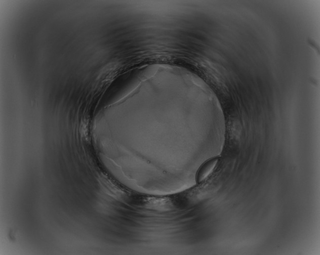 X0000093240185200710171449