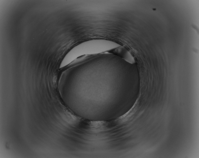 X0000093240192200710171449