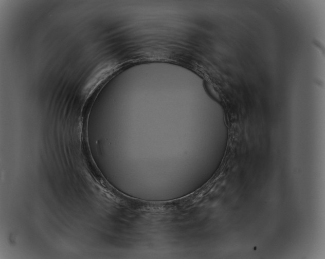 X0000093240194200710171448