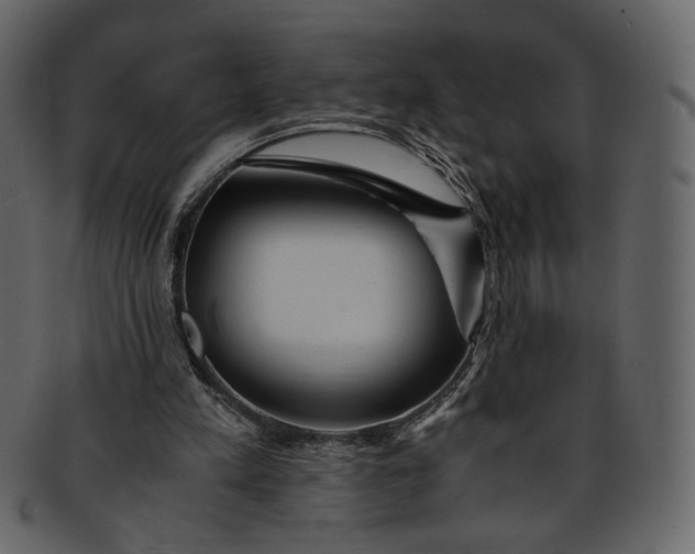 X0000093240197200710171448