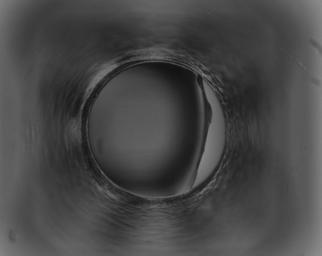 X0000093240200200710171448