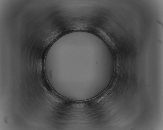 X0000093240202200710171448