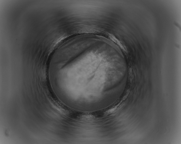 X0000093240203200710171448