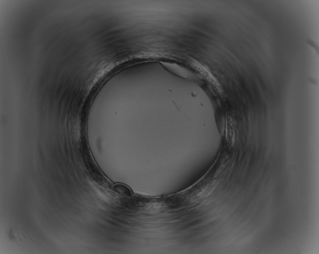 X0000093240204200710171448