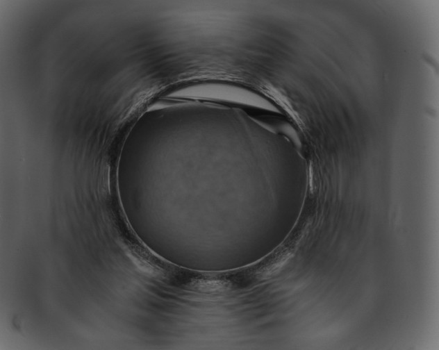 X0000093240205200710171448