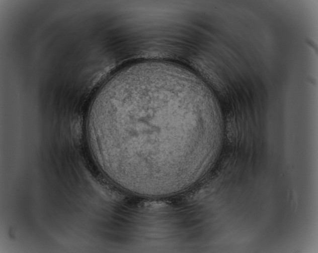 X0000093240208200710171448