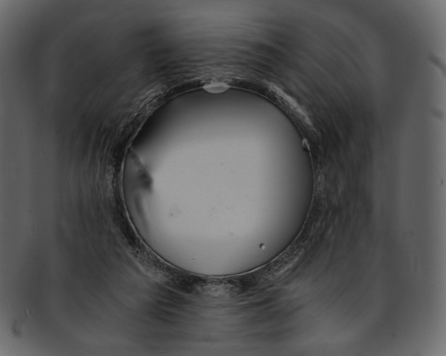 X0000093240209200710171448