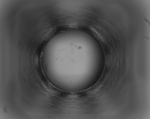 X0000093240213200710171448