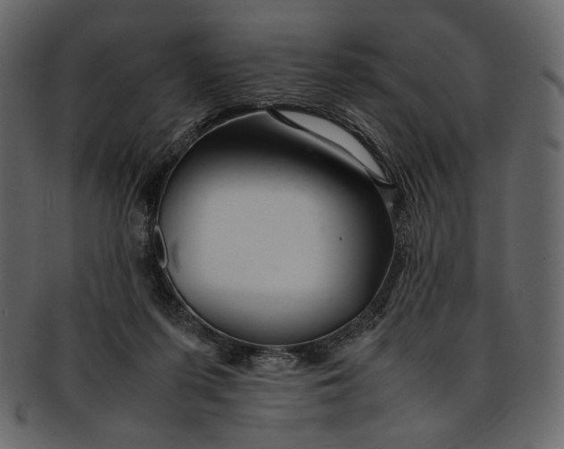 X0000093240215200710171448