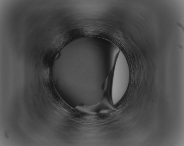 X0000093240219200710171448