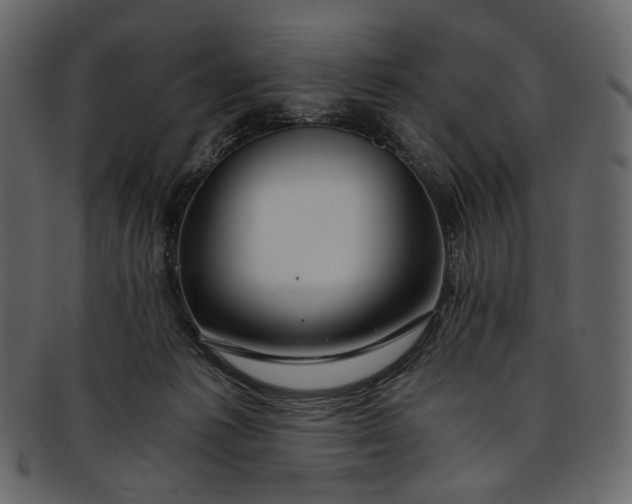 X0000093240221200710171448