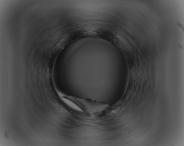 X0000093240223200710171448