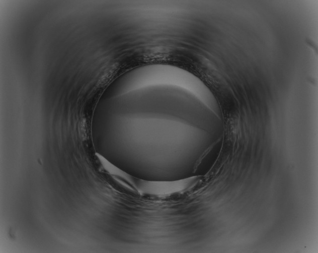 X0000093240224200710171448