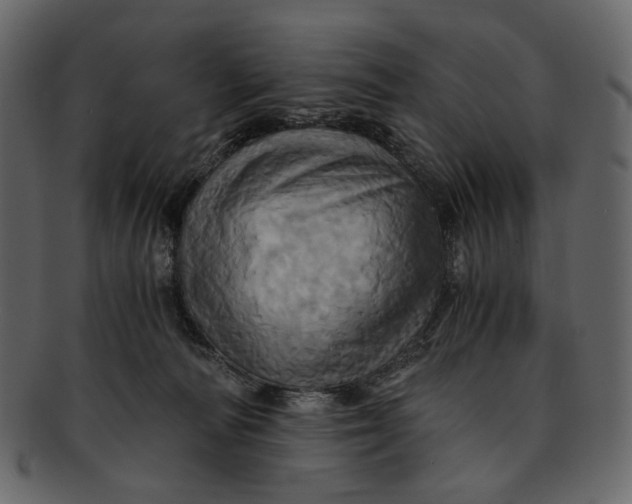 X0000093240226200710171448