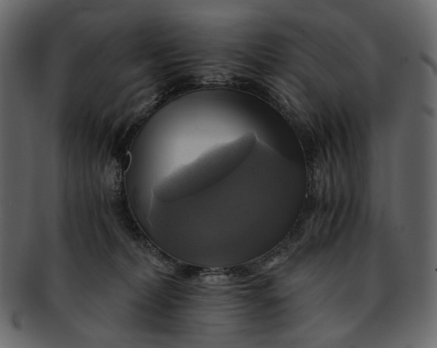 X0000093240228200710171448