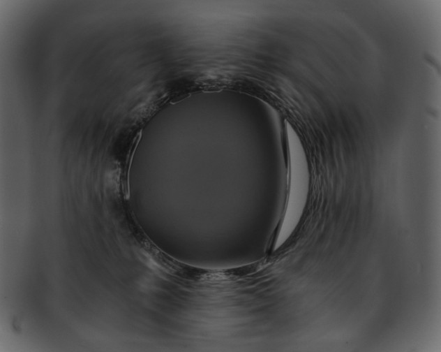 X0000093240231200710171447