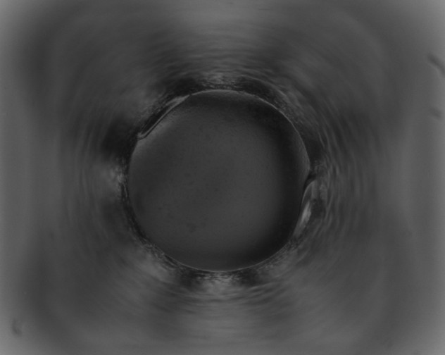 X0000093240235200710171447