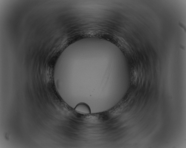 X0000093240236200710171447